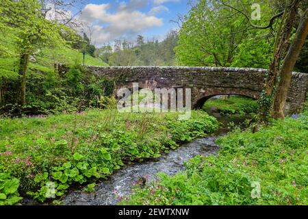 Viators Bridge, un pont médiéval de chevaux-de-sac au-dessus de la rivière Dove, Milldale, Derbyshire, Angleterre, Royaume-Uni Banque D'Images