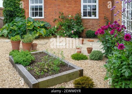 Lits en chêne surélevés dans un jardin de cour paysagé avec gravier, pavage en pierre de York et pots en terre cuite. Angleterre, Royaume-Uni Banque D'Images