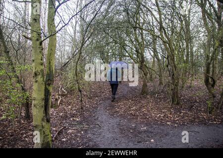 Old Oak Lane, Londres, Royaume-Uni. 3 mars 2021. Un résident d'Old Oak Common va vérifier si l'activiste au camp de protection a besoin d'aide. Dans la nuit du 2 au 3 mars, un groupe d'écologistes ont mis en place un camp de protection pour arrêter les travaux de construction du bâtiment HS2 dans la réserve naturelle des exfoliants de Wormwood. Les exfoliants de bois de millepertuis sont une réserve naturelle locale désignée (LNR), et l'une des dernières îles sauvages vierges vertes de l'Ouest de Londres, protégée en vertu de la Metropolitan Open Land Act de 1879. Sabrina Merolla/Alamy Banque D'Images