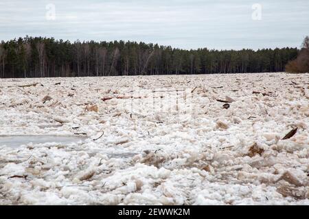 Carnikava, Lettonie. 3 mars 2021. La photo prise le 3 mars 2021 montre une glace de dérive sur la rivière Gauja à Carnikava, en Lettonie. Crédit: Edijs Palens/Xinhua/Alamy Live News Banque D'Images