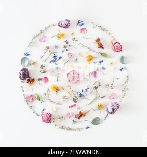 Agencement créatif de différentes fleurs naturelles séchées, pétales bleus et feuilles vertes sur fond blanc. Concept de nature minimale Banque D'Images