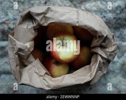 Pommes bio fraîchement cueillies dans un sac de fruits en papier brun Banque D'Images