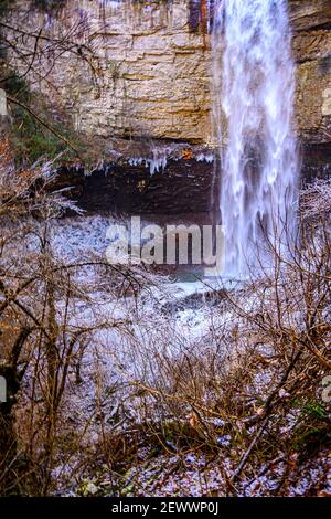 Shrubéry recouvert de glace et une cascade en arrière-plan. Banque D'Images