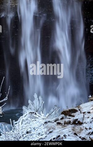 Shrubéry recouvert de glace et une cascade en arrière-plan. Banque D'Images