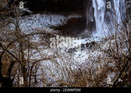 Shrubéry recouvert de glace et une cascade en arrière-plan. Banque D'Images