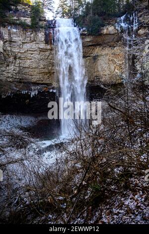 Shrubéry recouvert de glace et une cascade en arrière-plan. Banque D'Images