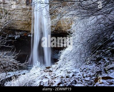 Shrubéry recouvert de glace et une cascade en arrière-plan. Banque D'Images