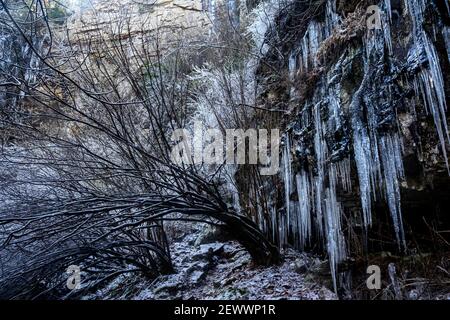 Shrubéry recouvert de glace et une cascade en arrière-plan. Banque D'Images