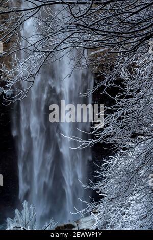 Shrubéry recouvert de glace et une cascade en arrière-plan. Banque D'Images