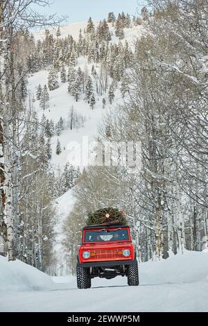 Ford Bronco avec arbre de Noël sur le toit entraîne sur route enneigée Banque D'Images