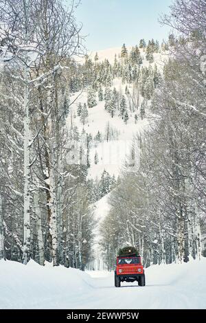 Un vus avec arbre Christmat sur le toit descend une montagne enneigée route forestière Banque D'Images