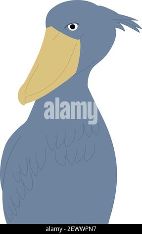 Portrait du Shoebill également connu sous le nom de cigogne à tête de baleine. Illustration vectorielle isolée sur fond blanc. Illustration de Vecteur
