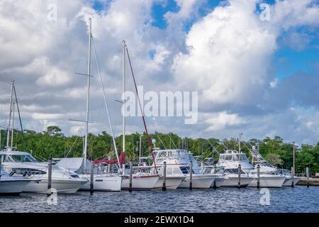 Bateaux amarrés à la marina du parc Matheson Hammock à Miami, Floride. Banque D'Images