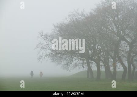 Londres, Royaume-Uni. 03ème mars 2021. Un couple a vu marcher par quelques arbres dans le parc Wanstead engloutir dans le brouillard pendant la majeure partie de la matinée. La plupart de Londres a été engloutie dans des zones de brouillard avec des températures réduites à 2 degrés. Les nuits glacielles et la faible visibilité devraient rester pour une autre semaine. Crédit : SOPA Images Limited/Alamy Live News Banque D'Images