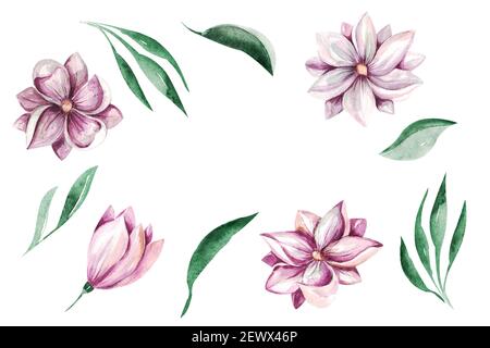 Cadre Spring Magnolia fleurs clipart. Délicat bouquet floral de magnolia sur fond blanc Banque D'Images