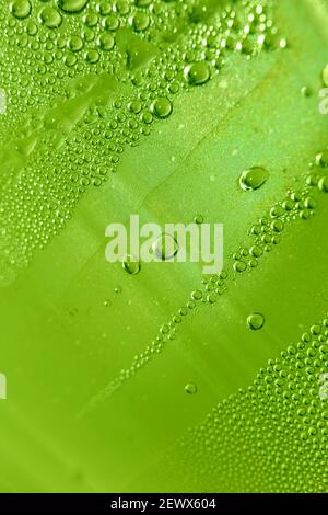 La prise de vue macro des gouttelettes d'eau à côté de la surface en verre se rapproche le papier liquide up dépose des impressions de haute qualité sur fond de plan moderne Banque D'Images