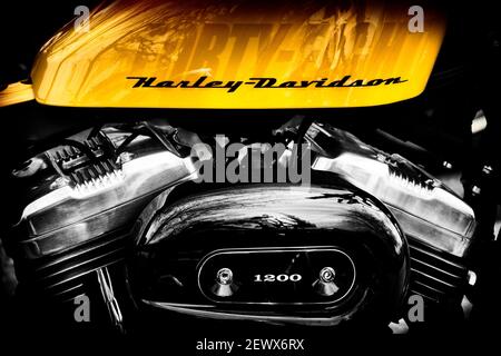 Harley Davidson 48 moto. Noir et blanc de couleur d'accompagnement Banque D'Images