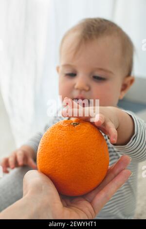 Mignonne bébé fille sont assis avec un fond orange blanc intérieur. Drôle d'enfant explore le fruit Banque D'Images