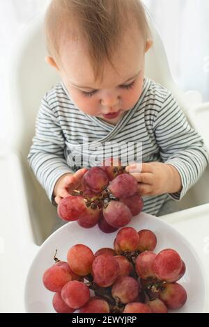 Mignonne bébé fille sont assis avec un fond blanc intérieur. Un enfant drôle explore la vue sur le plan des fruits Banque D'Images