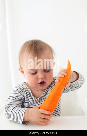 Mignonne bébé fille sont assis avec la carotte blanc fond intérieur. Drôle d'enfant explore les légumes Banque D'Images