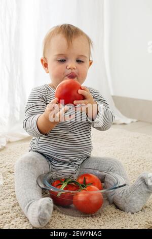 Mignonne bébé fille sont assis avec un fond blanc de tomate intérieur. Drôle d'enfant explore les légumes Banque D'Images