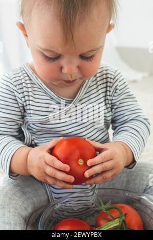 Mignonne bébé fille sont assis avec un fond blanc de tomate intérieur. Drôle d'enfant explore les légumes Banque D'Images