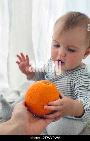 Mignonne bébé fille sont assis avec un fond orange blanc intérieur. Drôle d'enfant explore le fruit Banque D'Images