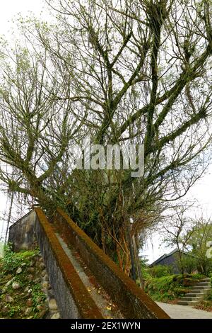 Terrain de jeu près de l'architecture de style japonais Jingtong, une destination populaire dans la ville de New Taipei Taiwan Banque D'Images