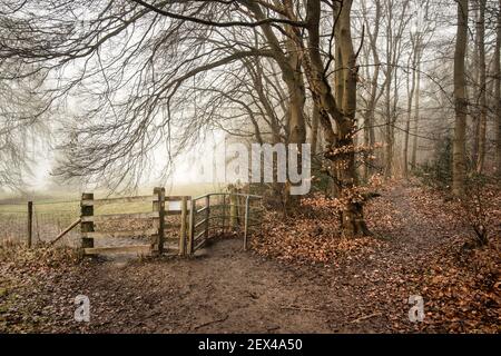 Sentier des collines de Chiltern avec des signes de chemin entre Little Chalfont et Latimer, en Angleterre Banque D'Images