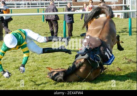 FESTIVAL CHELTENHAM 2005. 3ème JOUR 2ème course risque accessor automne à la dernière photo 17/3/2005 DAVID ASHDOWN CHELTENHAM FESTIVAL Banque D'Images