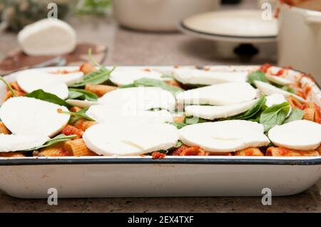 boulettes de viande et de rigatoni aux pâtes étouffées de bocconcini et de basilic Banque D'Images