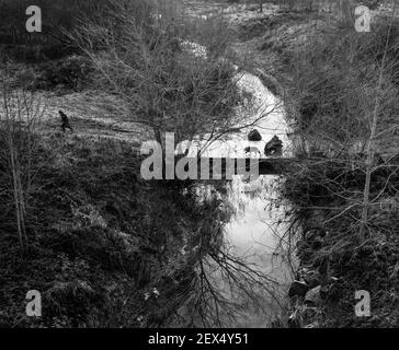 L'île dans le Tweed, Kelso, Écosse a appelé Wooden Anna (le bois est un lieu, Anna signifie l'île dans la rivière). Communauté boisé planté sur la zone d'inondation avec Banque D'Images