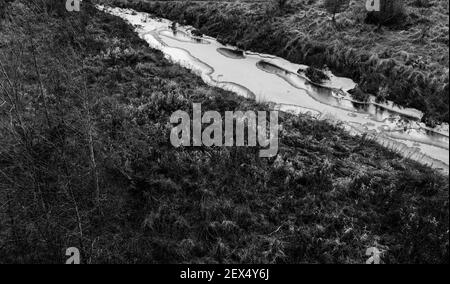 L'île dans le Tweed, Kelso, Écosse a appelé Wooden Anna (le bois est un lieu, Anna signifie l'île dans la rivière). Communauté boisé planté sur la zone d'inondation avec Banque D'Images