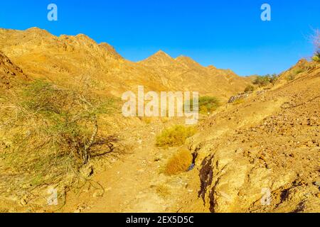 Paysage désertique près d'Eilat, ville la plus au sud d'Israël Banque D'Images