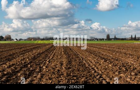 Vue sur la campagne flamande avec les champs agricoles récoltés autour Ternat Banque D'Images