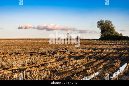 Vue sur la campagne flamande avec les champs agricoles récoltés autour Ternat Banque D'Images