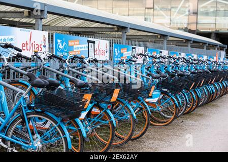 Gand, Flandre, Belgique - 02 20 2021: Location de vélos bleus à court terme à la gare de Gand Banque D'Images