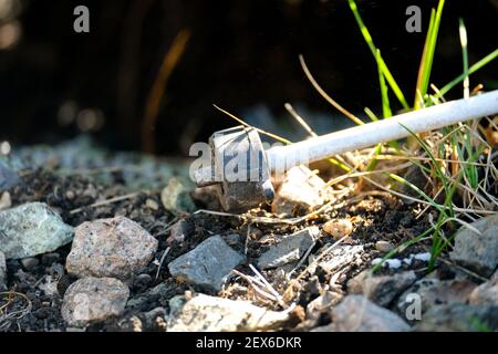 Tuyau d'auto-irrigation. Arrosage goutte-à-goutte souterrain. L'extrémité utilisée repose sur les rochers. Banque D'Images