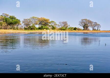 Paysage des zones humides, zones humides d'Okavango, delta d'Okavango, site du patrimoine mondial de l'UNESCO, zones humides Ramsar, Botswana, Afrique Banque D'Images