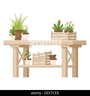 Table en bois avec plantes en pot, fleurs, fleuriste, orangerie décoration de style dessin animé isolée sur fond blanc. Jardinage, élément d'ensemencement, composition publicitaire. Mobilier pour l'intérieur. Illustration vectorielle Illustration de Vecteur