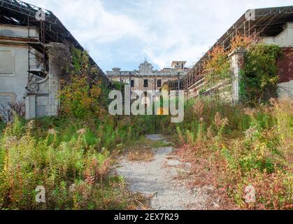 allée dans l'ancienne usine abandonnée surcultivée avec des mauvaises herbes Banque D'Images