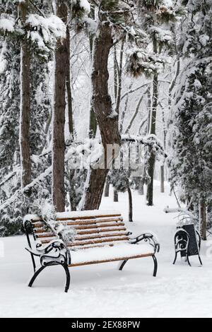 Banc dans le parc avec des sapins et des pins en chute libre après la charge de traîneaux et de la neige épaisse à l'arrière-plan. Rue d'hiver enneigée dans une ville. Météo Banque D'Images