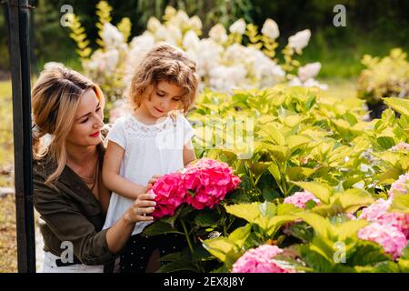 Maman présente sa fille à de belles hortensias Banque D'Images