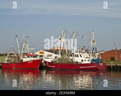 Port de pêche à Buesum, Allemagne Banque D'Images