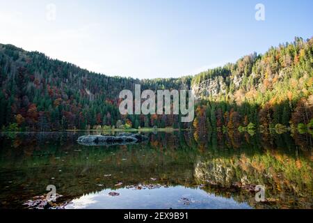 Le calme lac de Feldsee en automne, Forêt Noire, Allemagne Banque D'Images