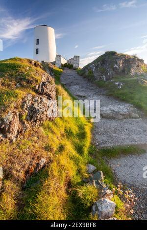 Goleudy Tŵr Mawr - Grande Tour sur l'île de Llanddwyn, Anglesey, au nord du pays de Galles Banque D'Images