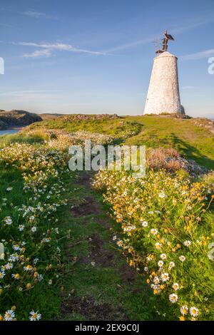 Goleudy Tŵr Bach - petite tour sur l'île de Llanddwyn, Anglesey, au nord du pays de Galles Banque D'Images