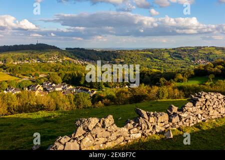 Mur en pierre de Drystone et arbres à Middleton Moor près de Middleton By Wirksworth près de la piste de High Peak dans le Derbyshire Dales Peak District Angleterre Royaume-Uni Banque D'Images