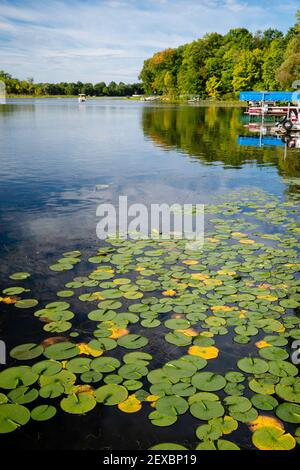 Une belle matinée en fin d'été sur le lac McCann, près de Chetek, Wisconsin, États-Unis. Banque D'Images