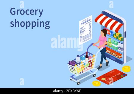 Client achetant dans une épicerie en ligne Illustration de Vecteur